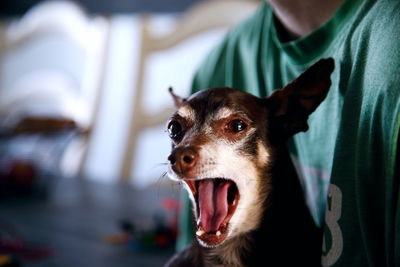 Close-up midsection of man with dog at home