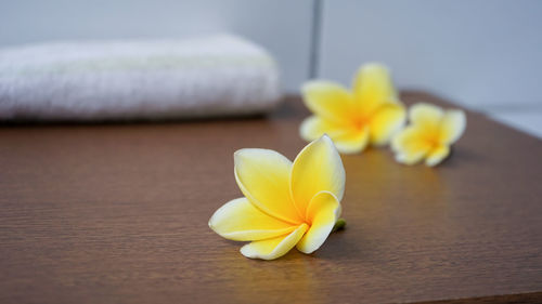 Close-up of yellow flowers on table
