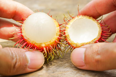 Close-up of person holding fruit