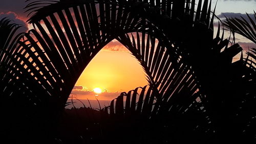 Silhouette of sun during sunset