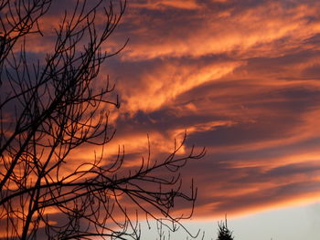 Low angle view of silhouette bare tree against dramatic sky