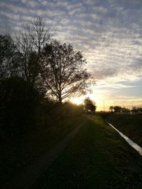 Road amidst trees against sky during sunset