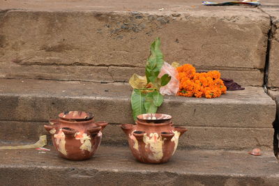 Close-up of potted plant in pot