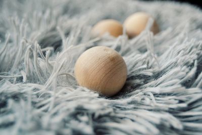 Close-up of eggs in nest