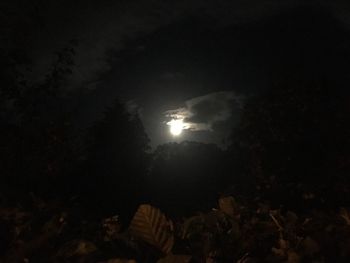 Low angle view of moon in sky at night