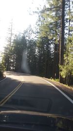 Road passing through forest