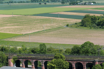 High angle view of agricultural field