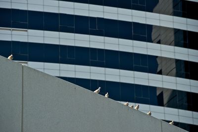 Low angle view of office building