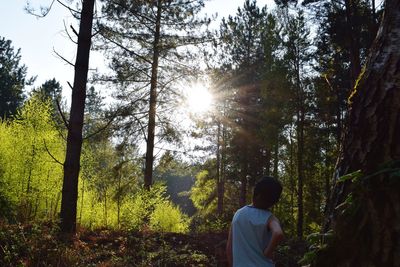 Rear view of man amidst trees in forest against sky