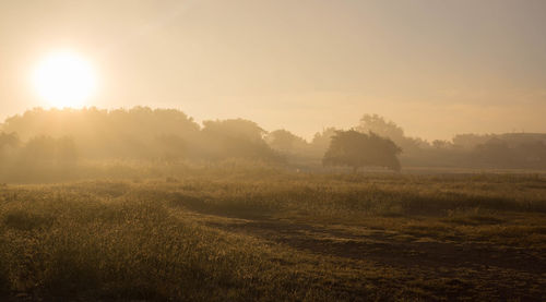 Scenic view of field against sky during sunset