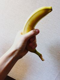 Close-up of hand holding fruit