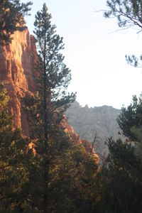 Scenic view of autumn trees and mountains against sky