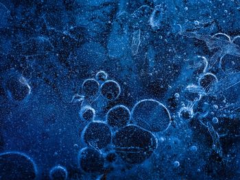 Macro shot of bubbles