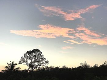 Low angle view of silhouette trees against sky during sunset