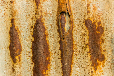 Full frame shot of bread