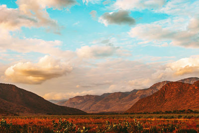 Scenic view of field against sky