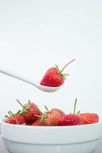 Close-up of strawberries in bowl against white background