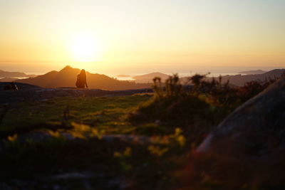 Rear view of woman sitting on field against sky during sunset