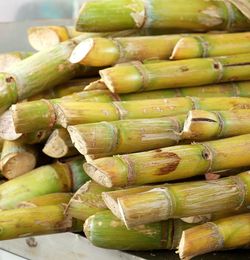 Full frame shot of sugarcanes for sale