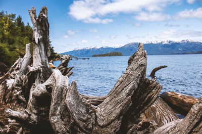 Panoramic view of driftwood on beach against sky