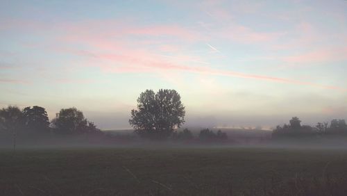 Silhouette trees on field against sky during foggy weather