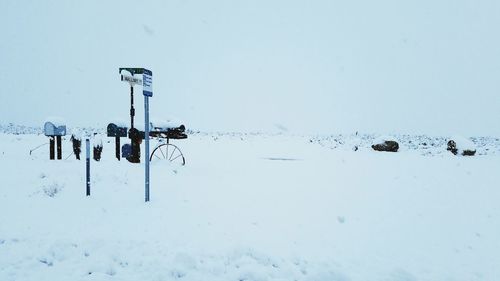 Birds on snow against clear sky