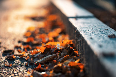 Close-up of fire on wood