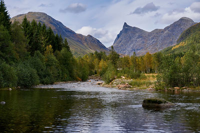 Bjørke, volda, møre og romsdal, norway.