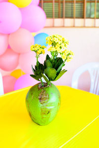 High angle view of flowers in coconut vase on table