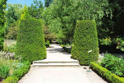 Footpath in garden