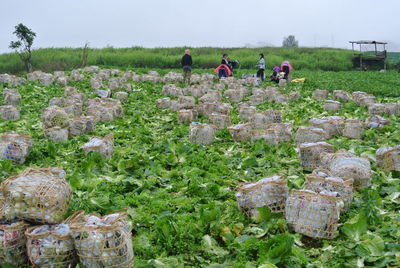 Group of people on field