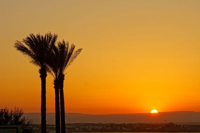 Silhouette palm tree against sea during sunset