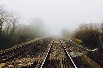 Railroad tracks in winter