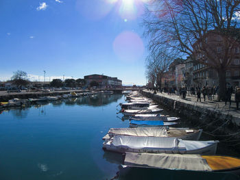 Boats moored by trees against sky