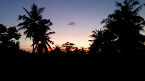 Silhouette palm trees against sky during sunset