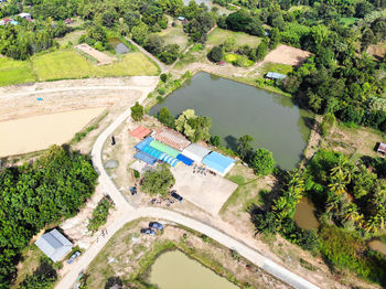 High angle view of river along plants