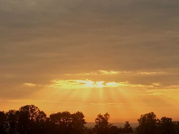 Low angle view of sunlight streaming through silhouette trees during sunset