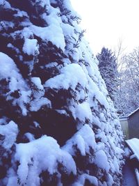 Scenic view of snow covered landscape