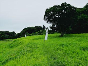 Trees on field against clear sky