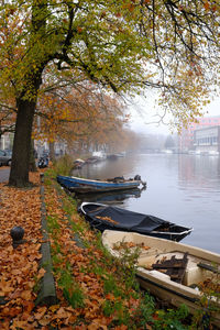 Scenic view of lake against trees during autumn