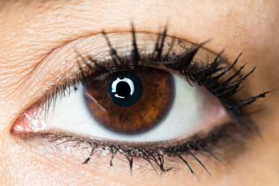 Close-up portrait of woman eye