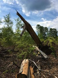 Low angle view of abandoned bridge amidst trees on field against sky