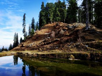 Scenic view of lake by trees against sky