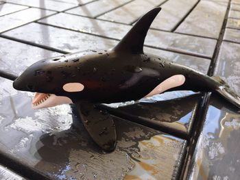 High angle view of person