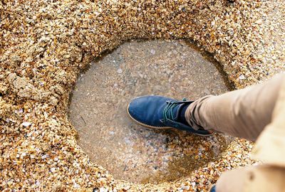 Low section of person standing on beach