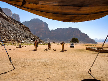 Panoramic view of people on beach