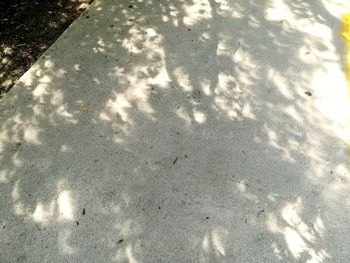 High angle view of shadow on ground