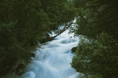 Scenic view of waterfall in forest