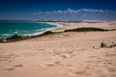 Scenic view of beach