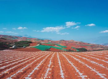 Agricultural field against sky